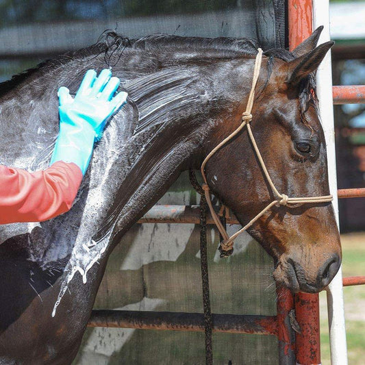 Wash Gloves